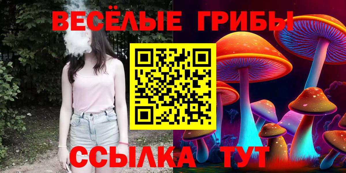 Галлюциногенные грибы Cubensis Борзя