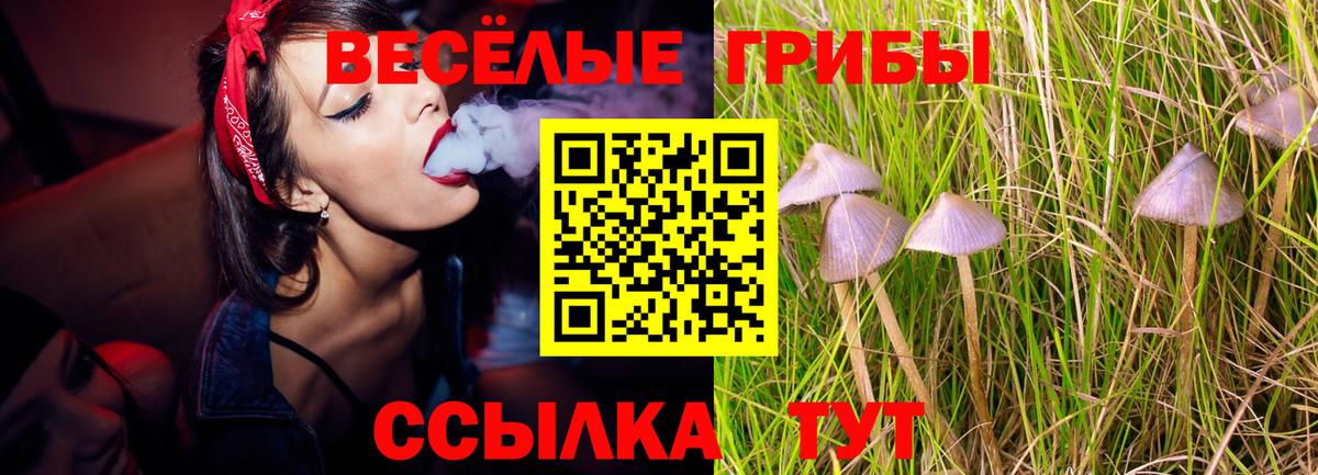 где можно купить наркотик  Вход с VPN  Борзя  Галлюциногенные грибы Magic Shrooms  Галлюциногенные грибы мицелий 